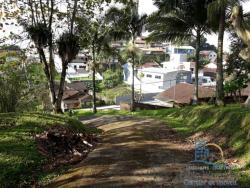 Venda em Floresta - Joinville