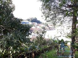 Área para Venda em Joinville - 5