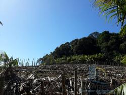 #V395 - Terreno para Venda em São Francisco do Sul - SC