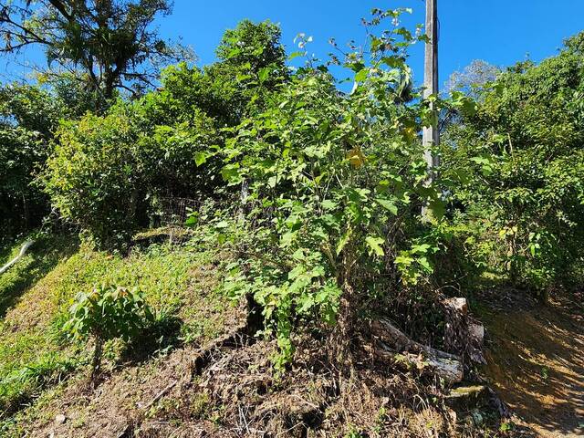 #169 - Terreno para Venda em Joinville - SC