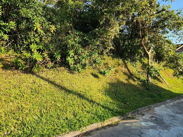 Terreno para Venda em Joinville - 4