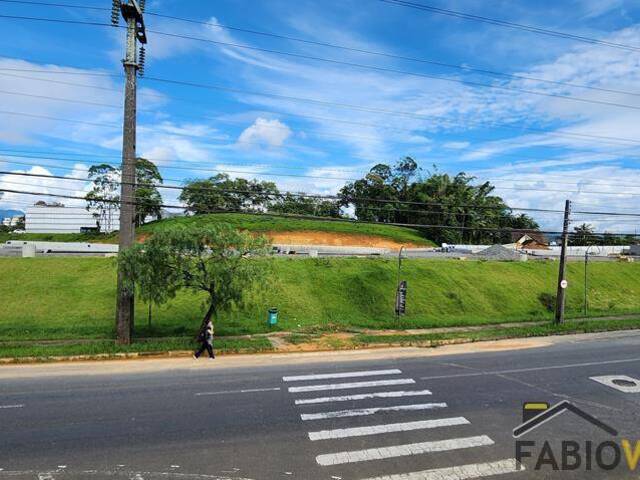 #234 - Ponto Comercial para Venda em Joinville - SC - 3