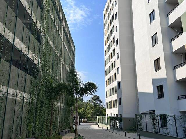 #241 - Apartamento para Locação em Joinville - SC - 1