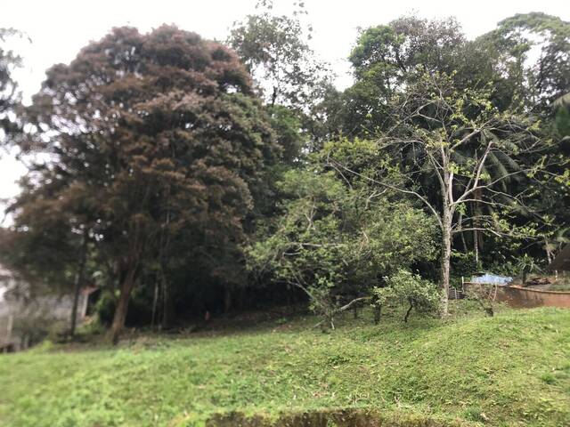 Terreno para Venda em Joinville - 5