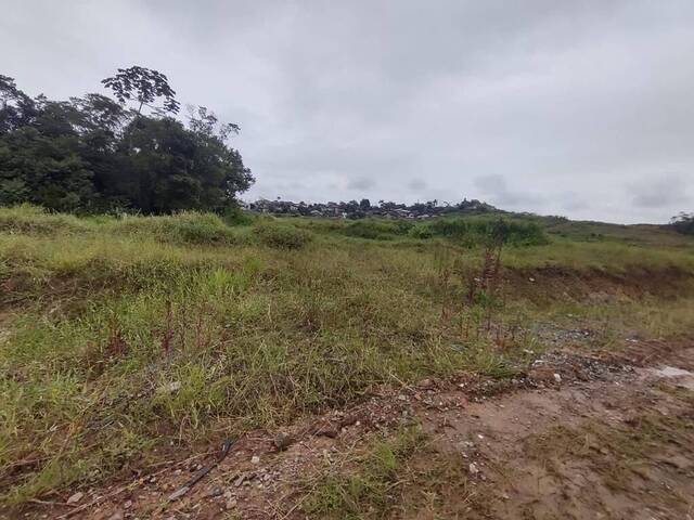 #275 - Terreno para Venda em Joinville - SC