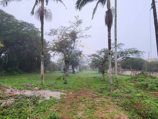 Terreno para Venda em São Francisco do Sul - 5