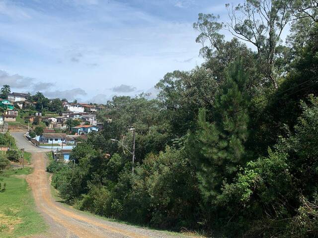 #307 - Área para Venda em Rio Negrinho - SC
