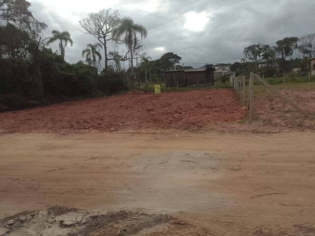 Área para Venda em São Francisco do Sul - 4
