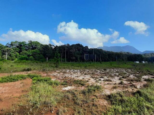 Venda em Zona Industrial Norte - Joinville