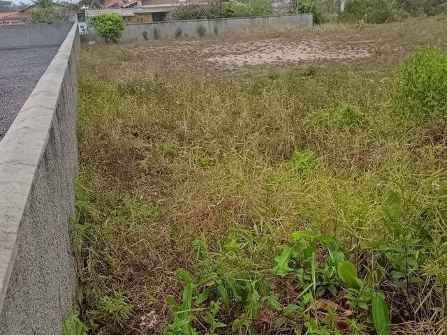 Terreno para Venda em São Francisco do Sul - 5
