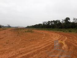 #V389 - Terreno para Venda em Araquari - SC - 3