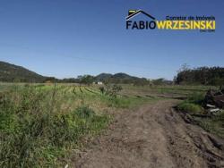 Área para Venda em Araquari - 4