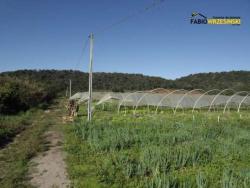 #V152 - Terreno para Venda em Araquari - SC - 1