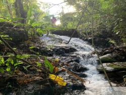 #V641 - Chácara para Venda em Rio dos Cedros - SC